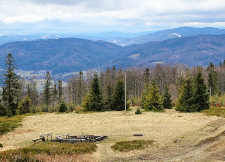 Kim są Terapeuci w Centrum Szkoleniowo-Terapeutycznym Life? Poznaj Ich Drogę i Pasję