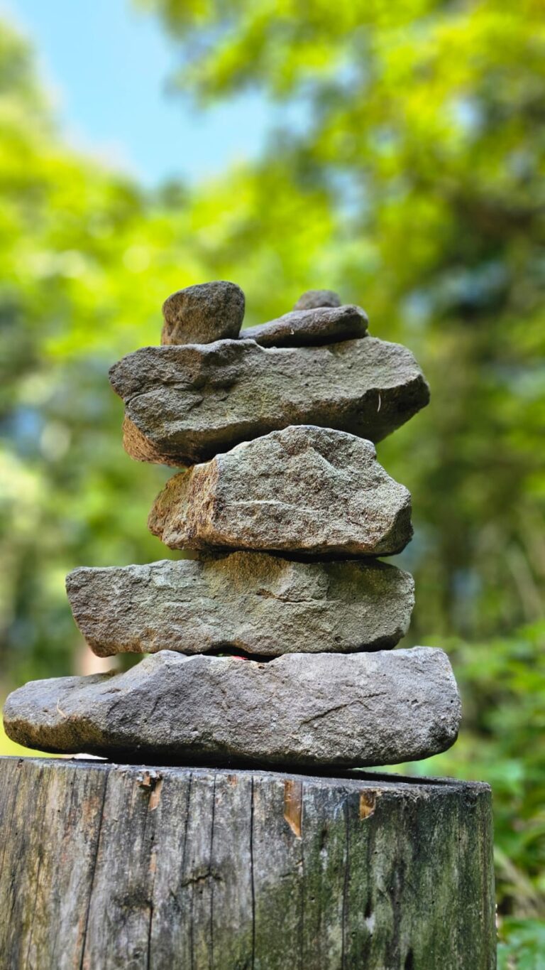 Terapeutyczna wycieczka w góry.